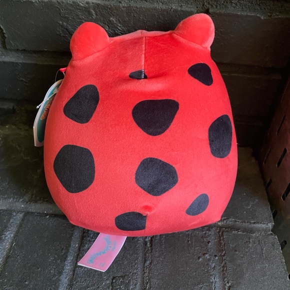 Obu frog Squishmallow! NWT - Picture 3 of 5